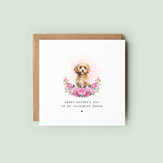 Cavapoo Mother’s Day card with watercolour Cavapoo in a soft pink floral frame and text “Happy Mother’s Day to my favourite human”, shown as a square white 148x148mm (6x6) card with Kraft envelope behind.
