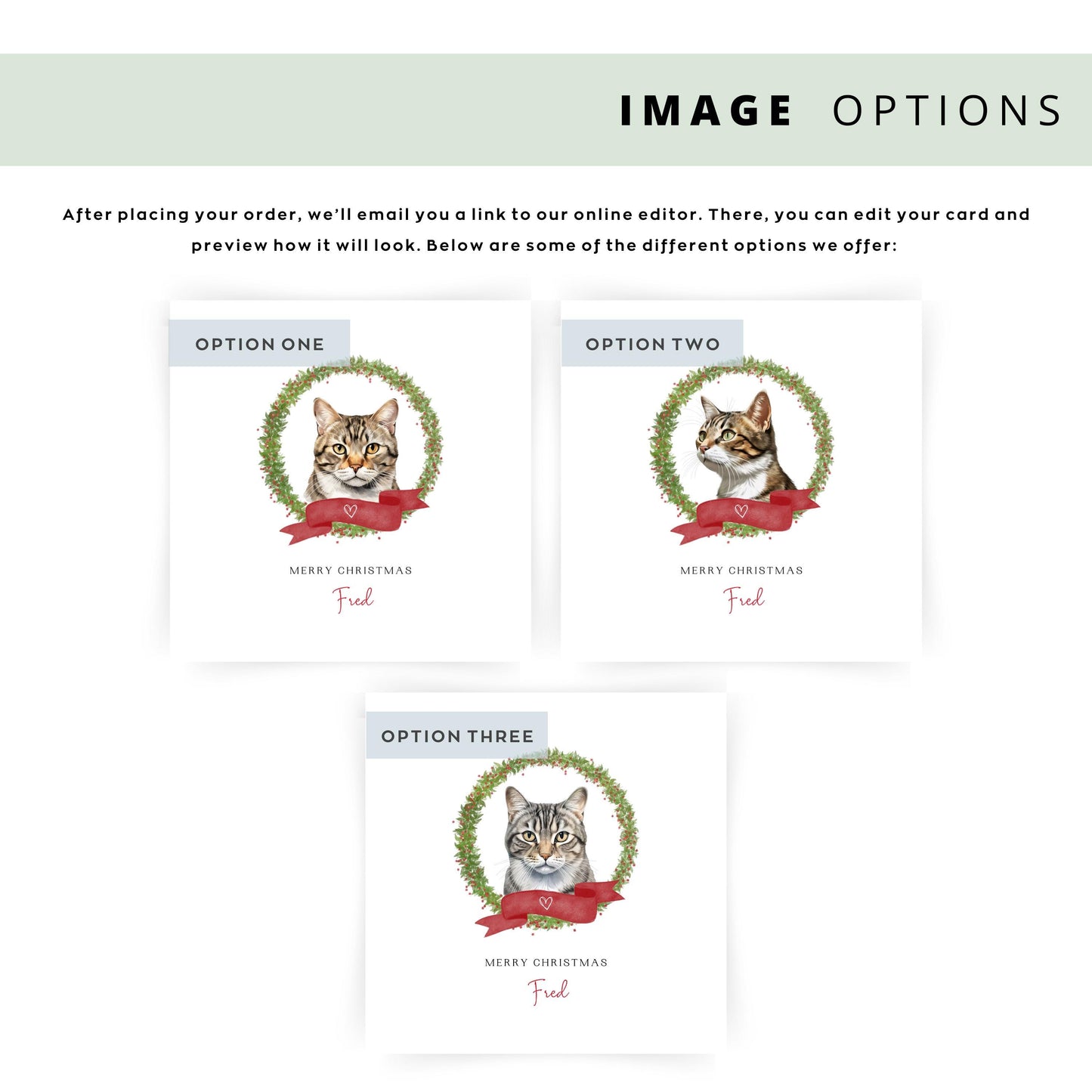 Personalised American Wirehair cat Christmas card with festive design. Custom holiday card for Cat Mum, Cat Dad, or a cat sitter.