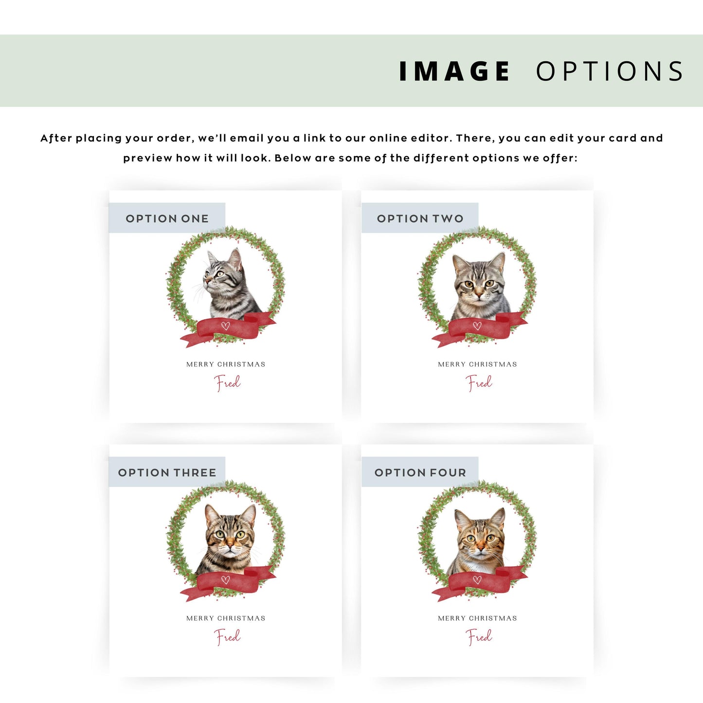 Personalised Brazilian Shorthair Cat Christmas card with festive design. Ideal gift or greeting from the cat to Cat Mum, Dad, or Sitter.