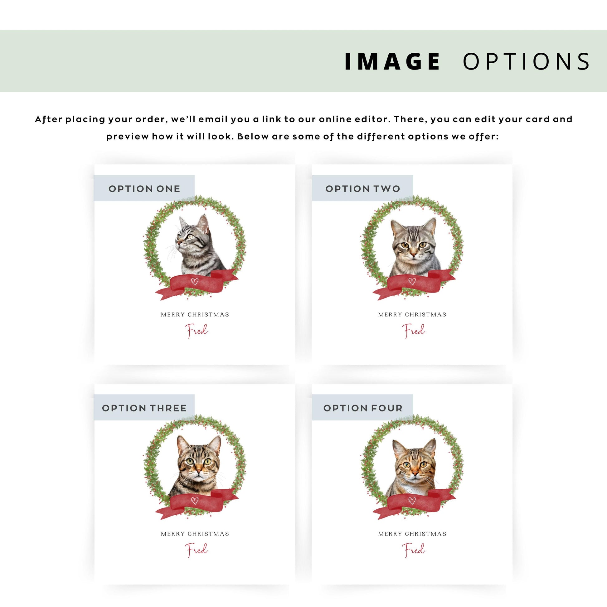 Personalised Brazilian Shorthair Cat Christmas card with festive design. Ideal gift or greeting from the cat to Cat Mum, Dad, or Sitter.