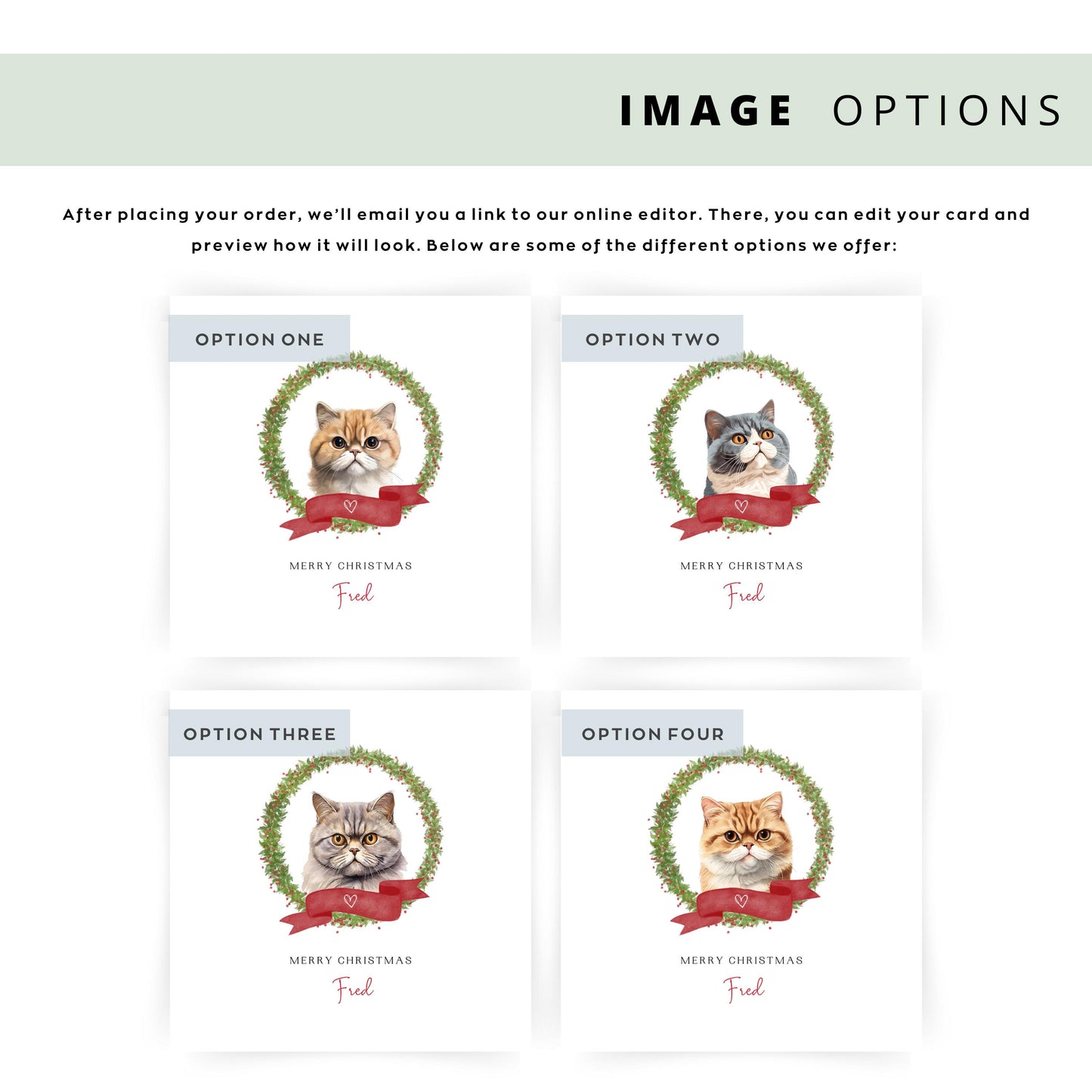 Personalised Exotic Shorthair cat Christmas card with festive wreath design. Ideal holiday card for Cat Mum, Cat Dad, or a cat sitter.