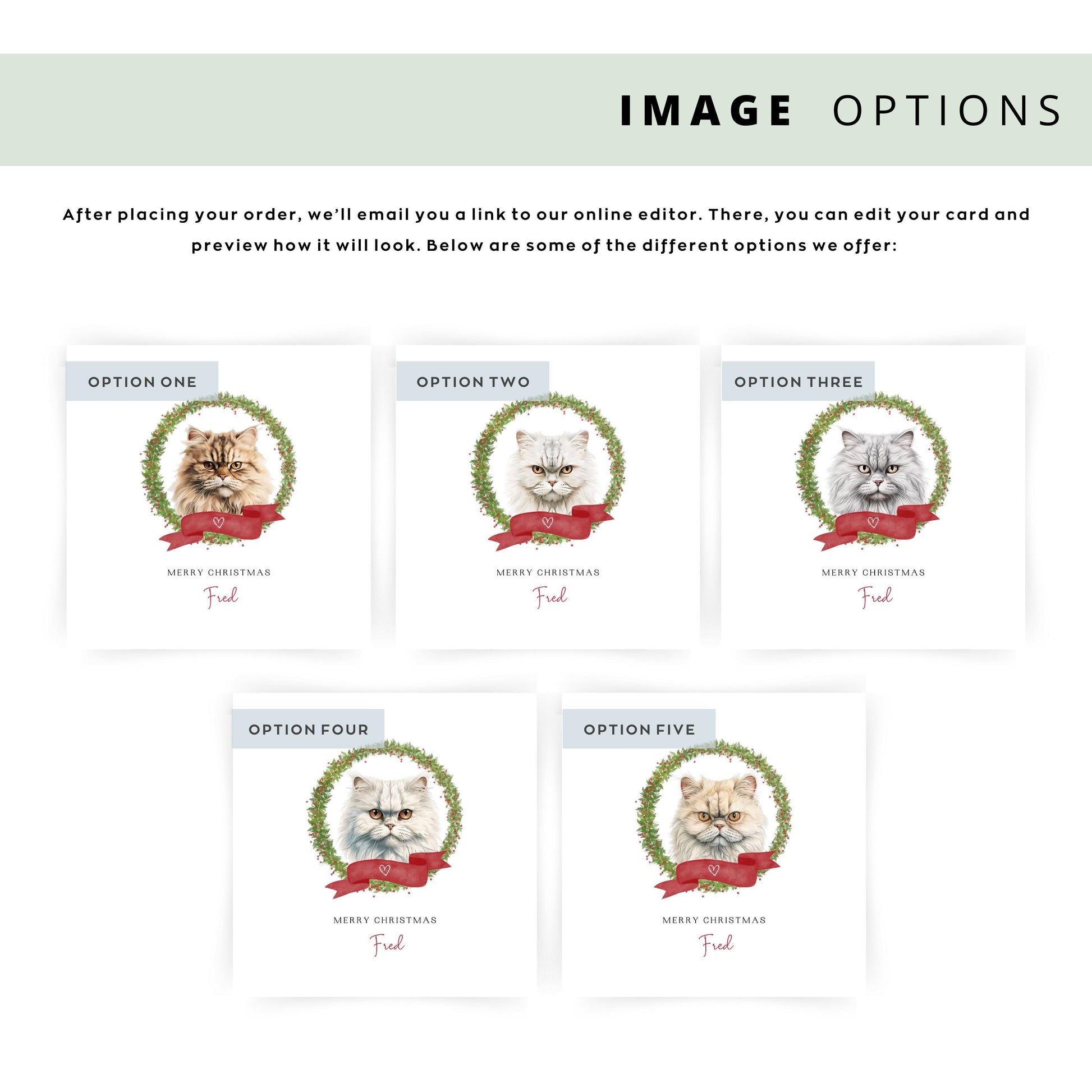 Personalised Persian cat Christmas card with festive wreath design. Ideal holiday card for Cat Mum, Cat Dad, or a cat sitter.