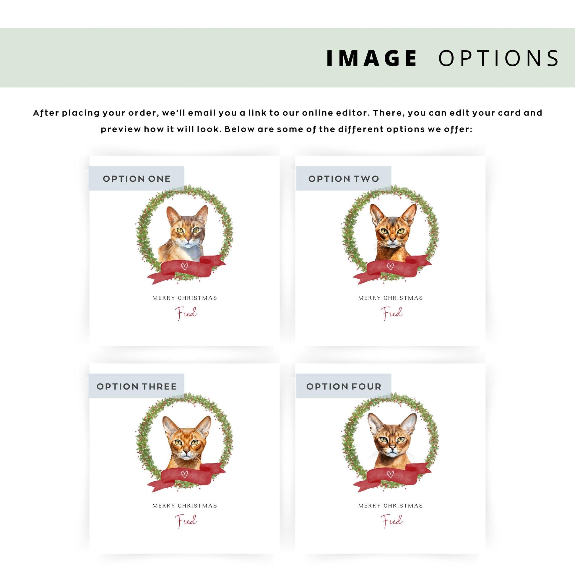 Personalised Abyssinian cat Christmas card featuring a watercolour cat illustration inside a festive wreath with a red ribbon, text reads “Merry Christmas Fred”.