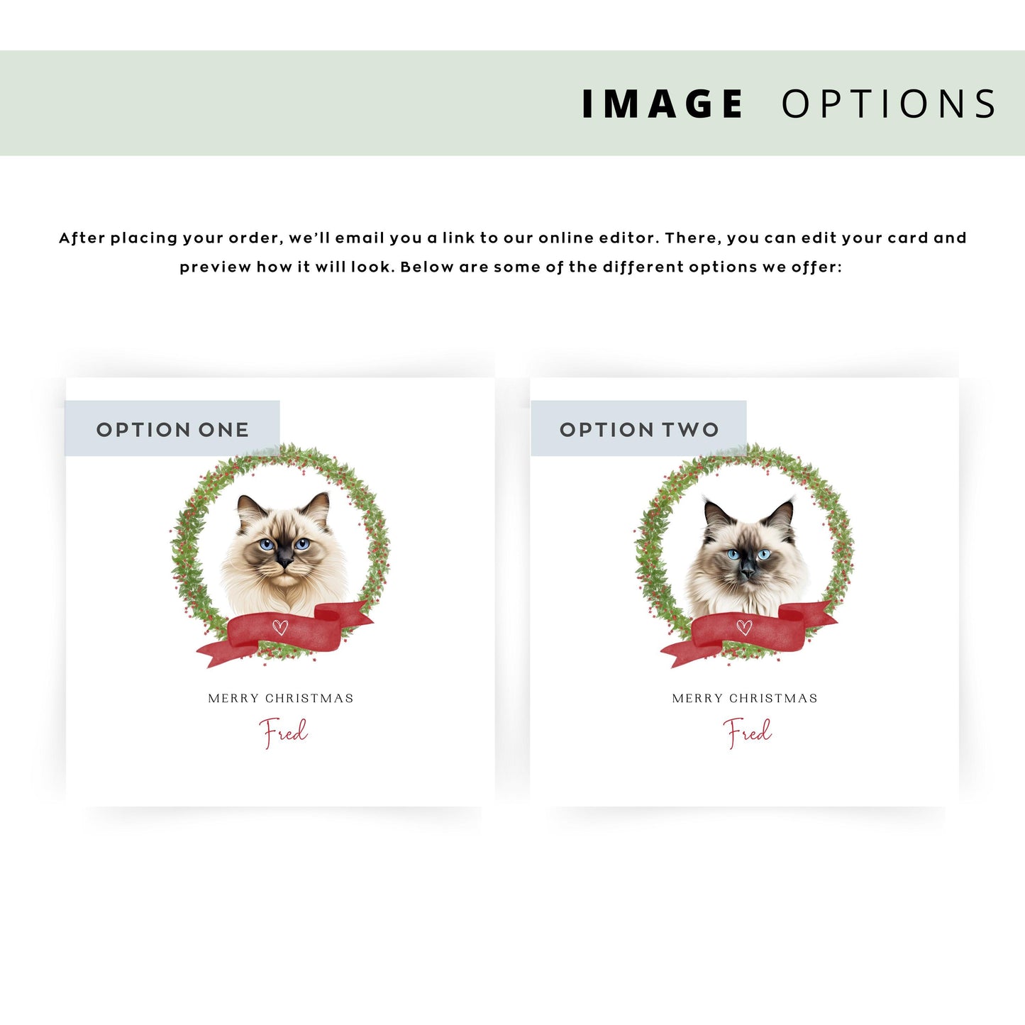 Personalised Birman cat Christmas card featuring festive illustration. Ideal gift or greeting from the cat to Cat Mum, Dad, or Sitter.