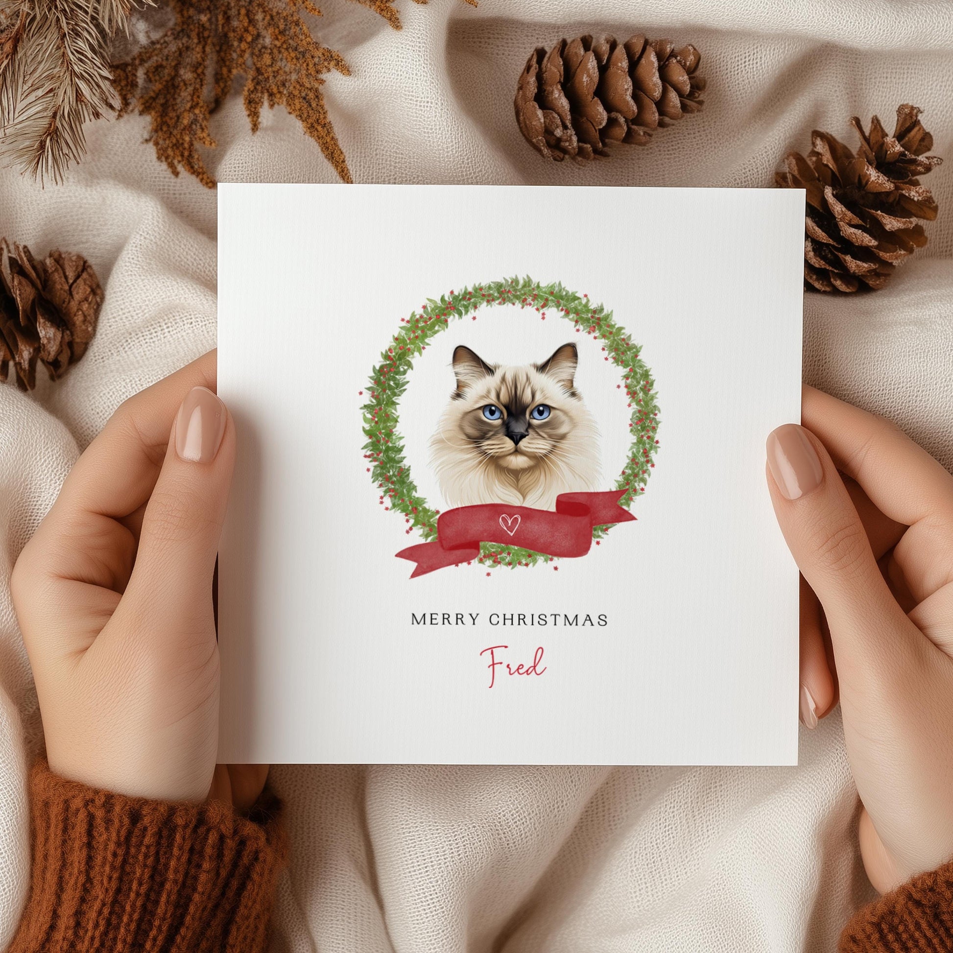 Personalised Birman cat Christmas card featuring festive illustration. Ideal gift or greeting from the cat to Cat Mum, Dad, or Sitter.