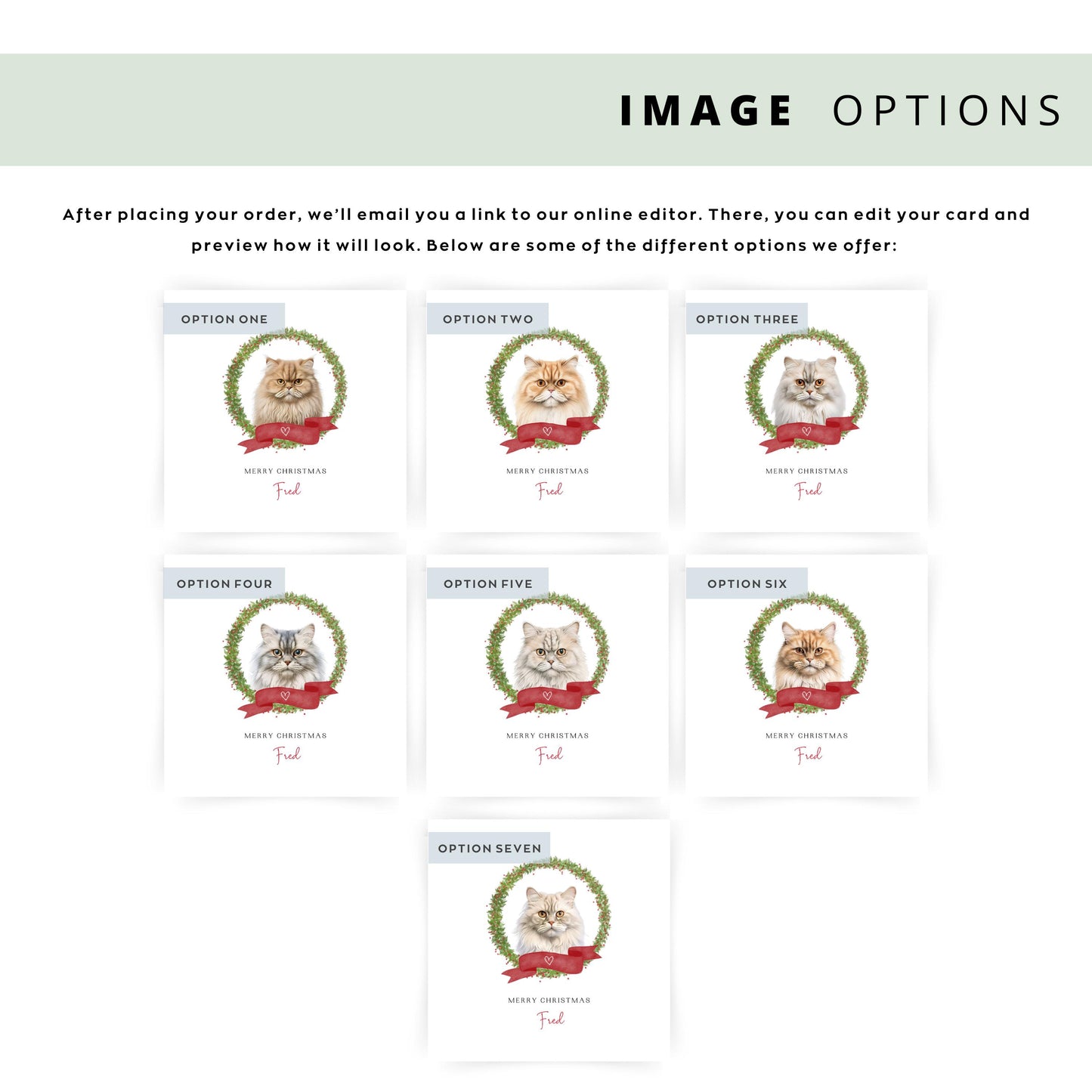 Personalised British Longhair cat Christmas card with festive wreath design. Ideal holiday card for Cat Mum, Cat Dad, or a cat sitter.