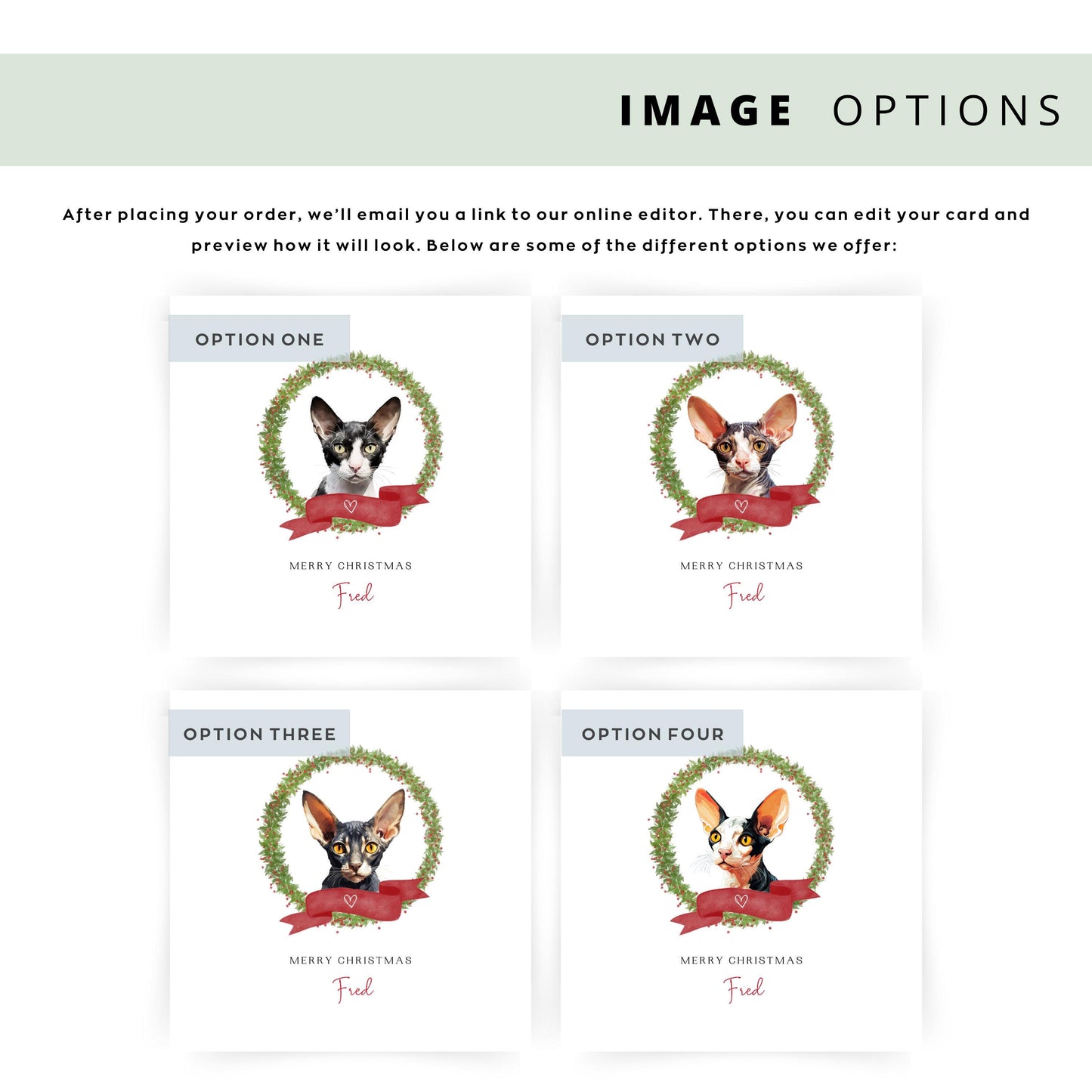 Personalised Cornish Rex cat Christmas card with festive wreath design. Ideal holiday card for Cat Mum, Cat Dad, or a cat sitter.