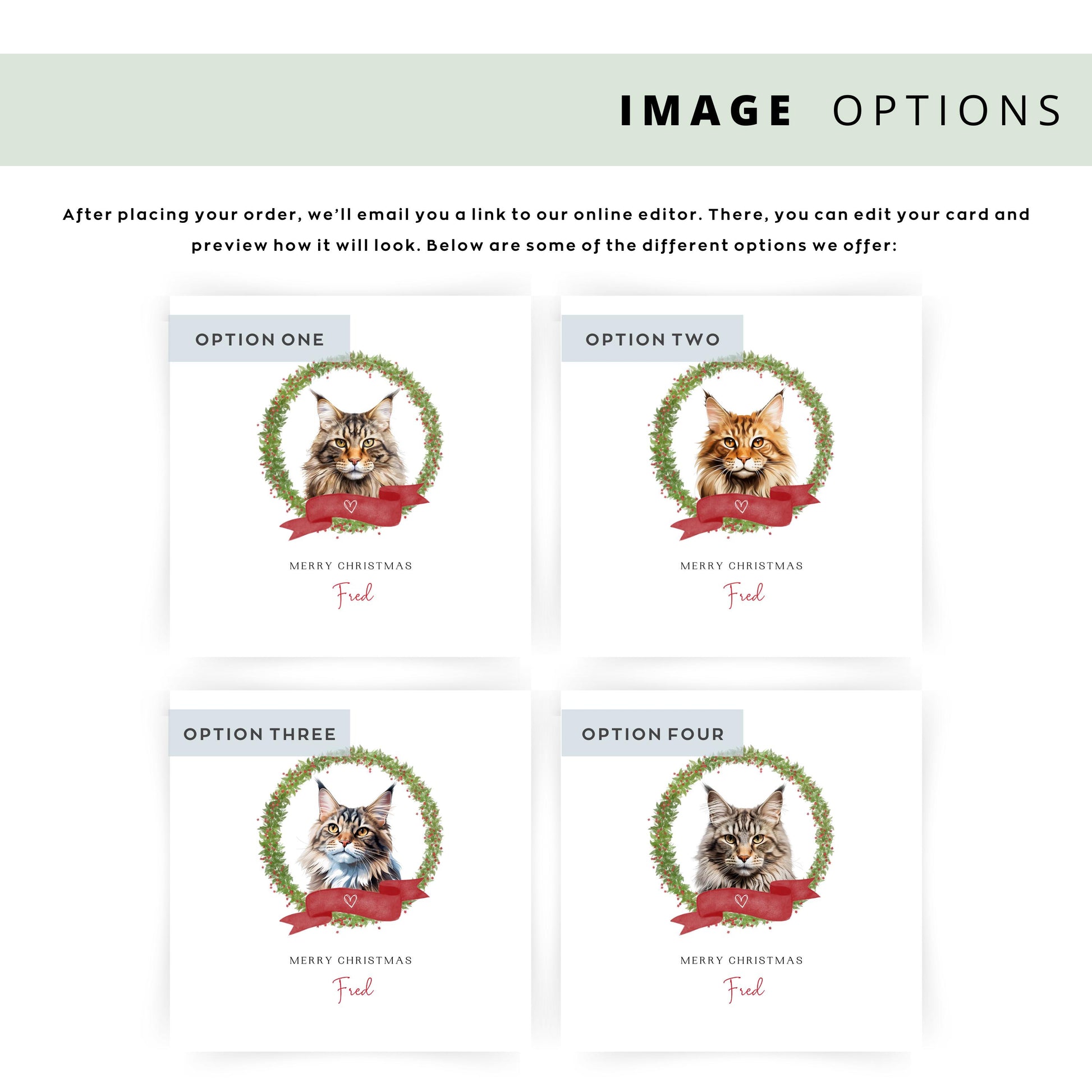 Personalised Maine Coon cat Christmas card with festive wreath design. Ideal holiday card for Cat Mum, Cat Dad, or a cat sitter.