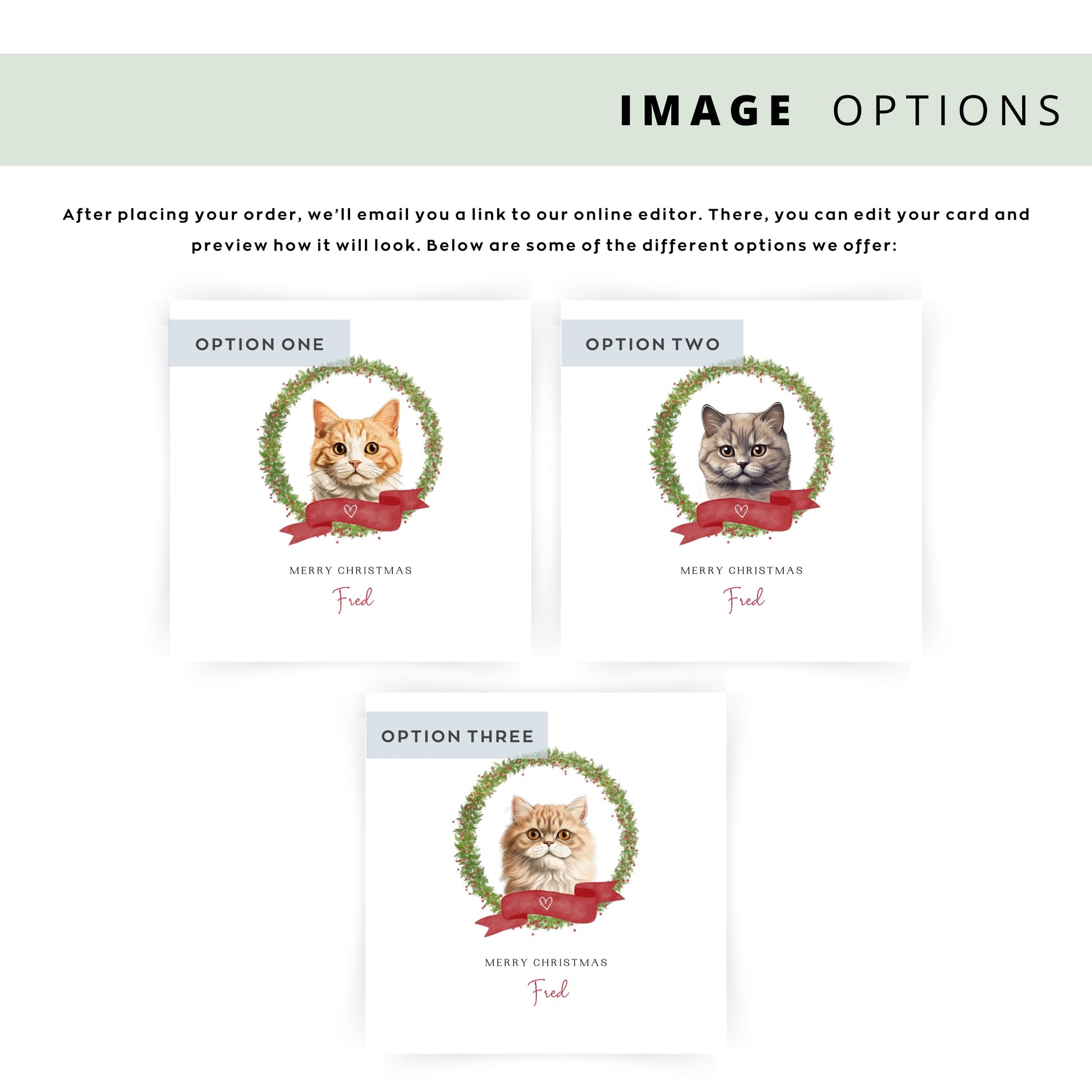 Personalised Munchkin cat Christmas card with festive wreath design. Ideal holiday card for Cat Mum, Cat Dad, or a cat sitter.