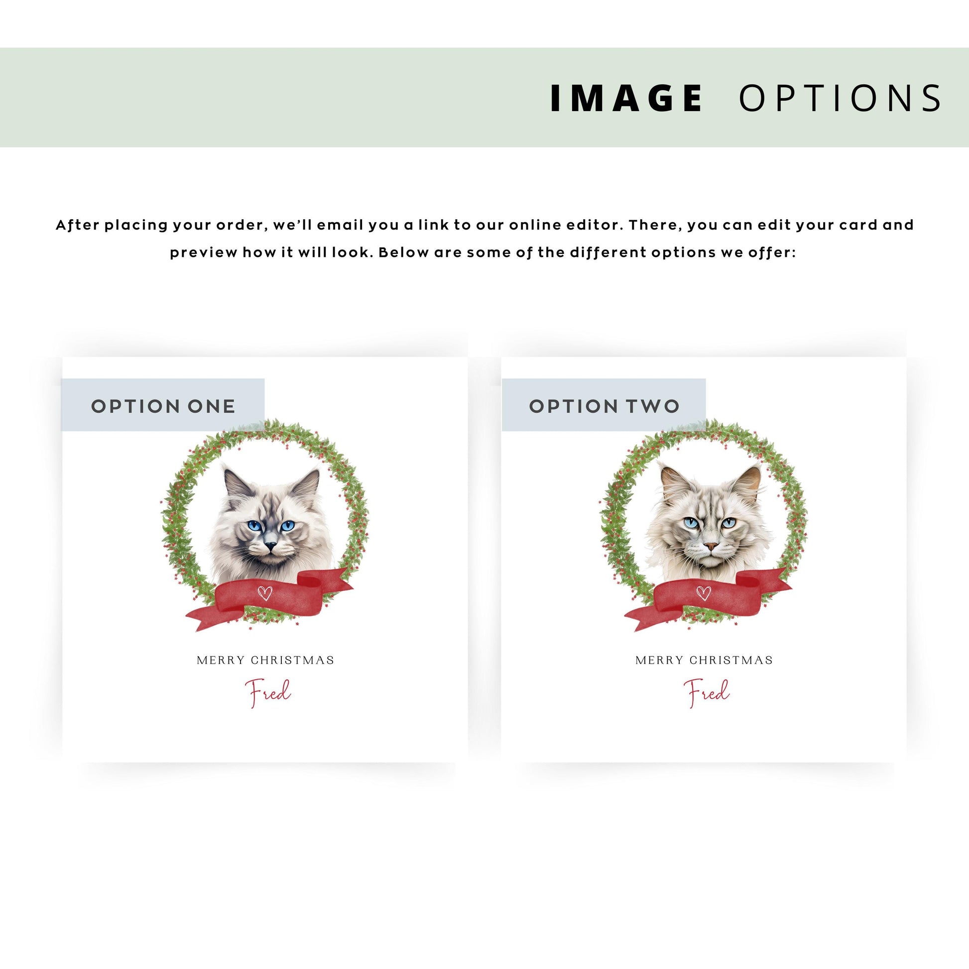 Personalised Neva Masquerade cat Christmas card with festive wreath design. Ideal holiday card for Cat Mum, Cat Dad, or a cat sitter.
