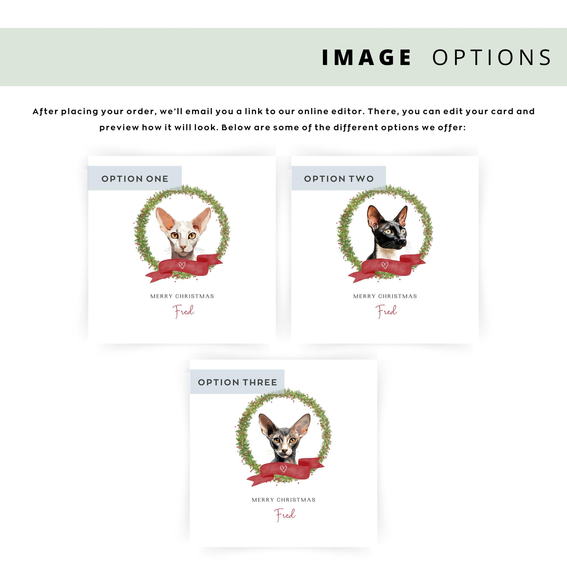 Personalised Oriental Shorthair cat Christmas card with festive wreath design. Ideal holiday card for Cat Mum, Cat Dad, or a cat sitter.