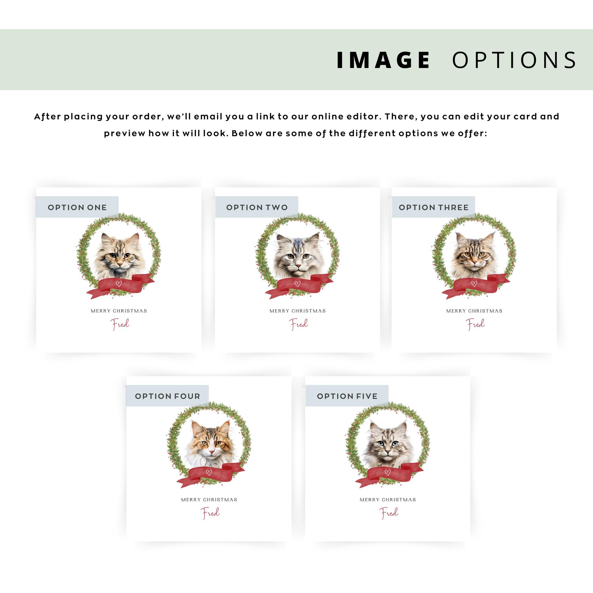 Personalised Ragamuffin cat Christmas card with festive wreath design. Ideal holiday card for Cat Mum, Cat Dad, or a cat sitter.