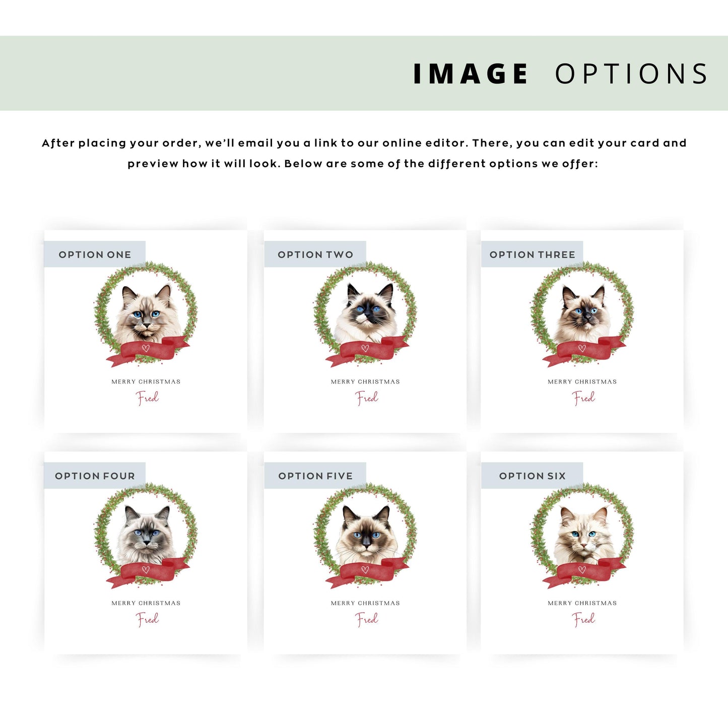 Personalised Ragdoll cat Christmas card with festive wreath design. Ideal holiday card for Cat Mum, Cat Dad, or a cat sitter.