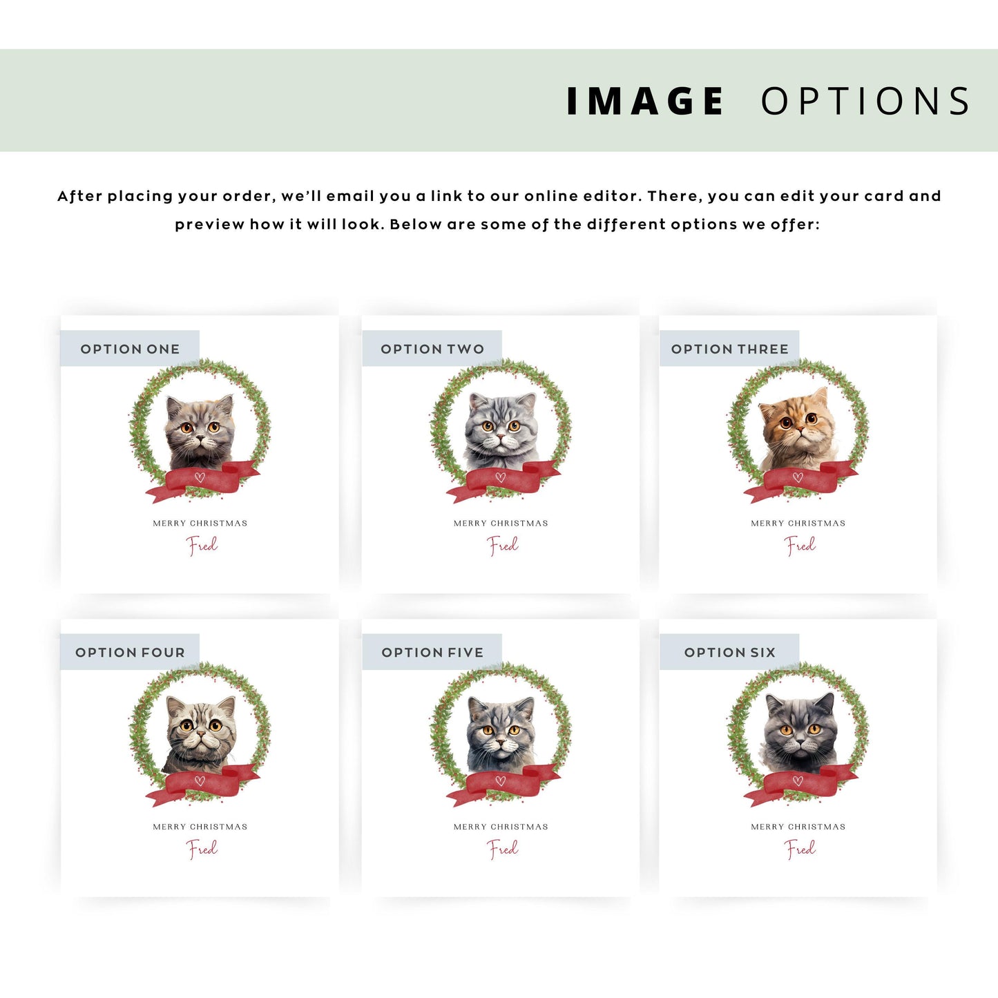 Personalised Scottish Fold cat Christmas card with festive wreath design. Ideal holiday card for Cat Mum, Cat Dad, or a cat sitter.