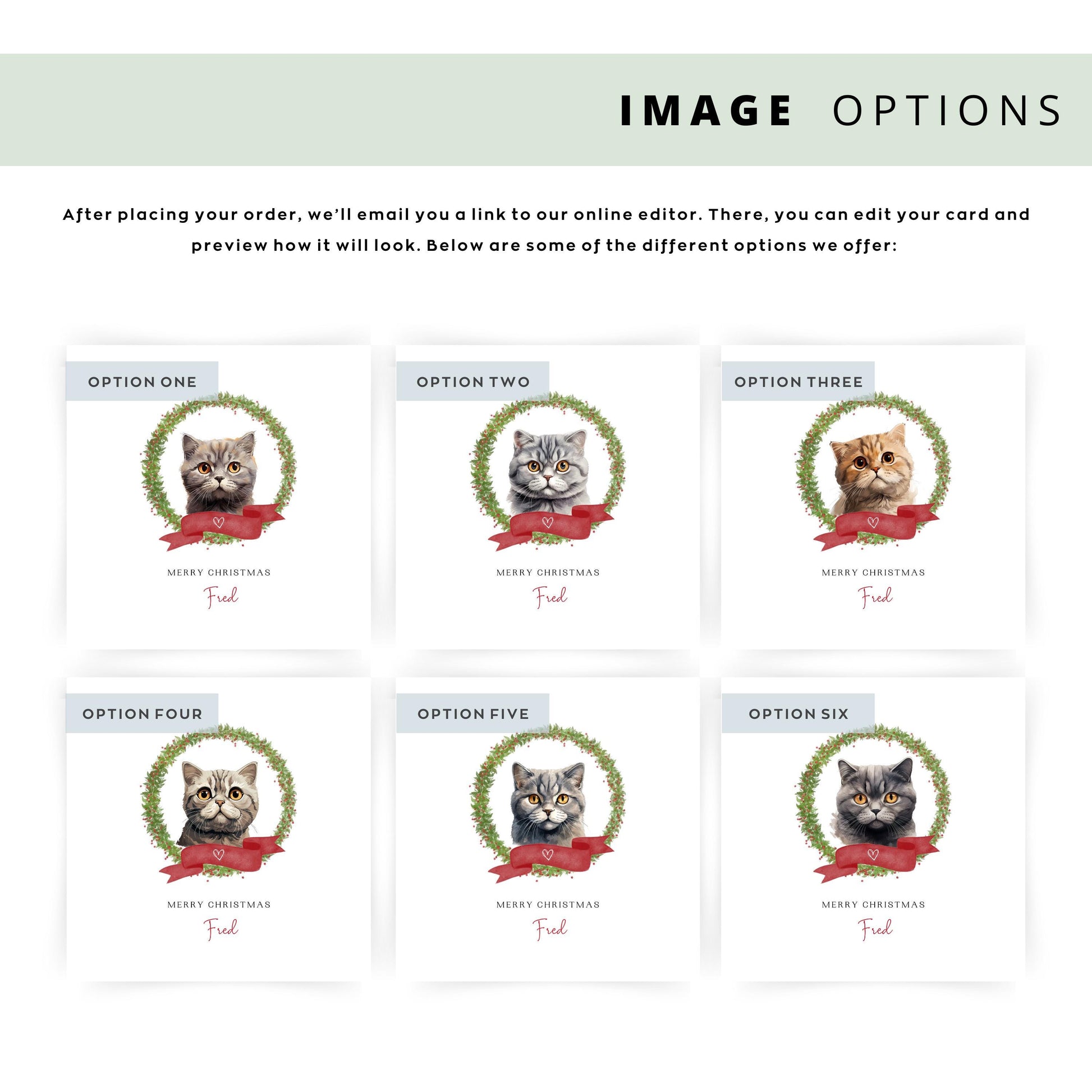 Personalised Scottish Fold cat Christmas card with festive wreath design. Ideal holiday card for Cat Mum, Cat Dad, or a cat sitter.