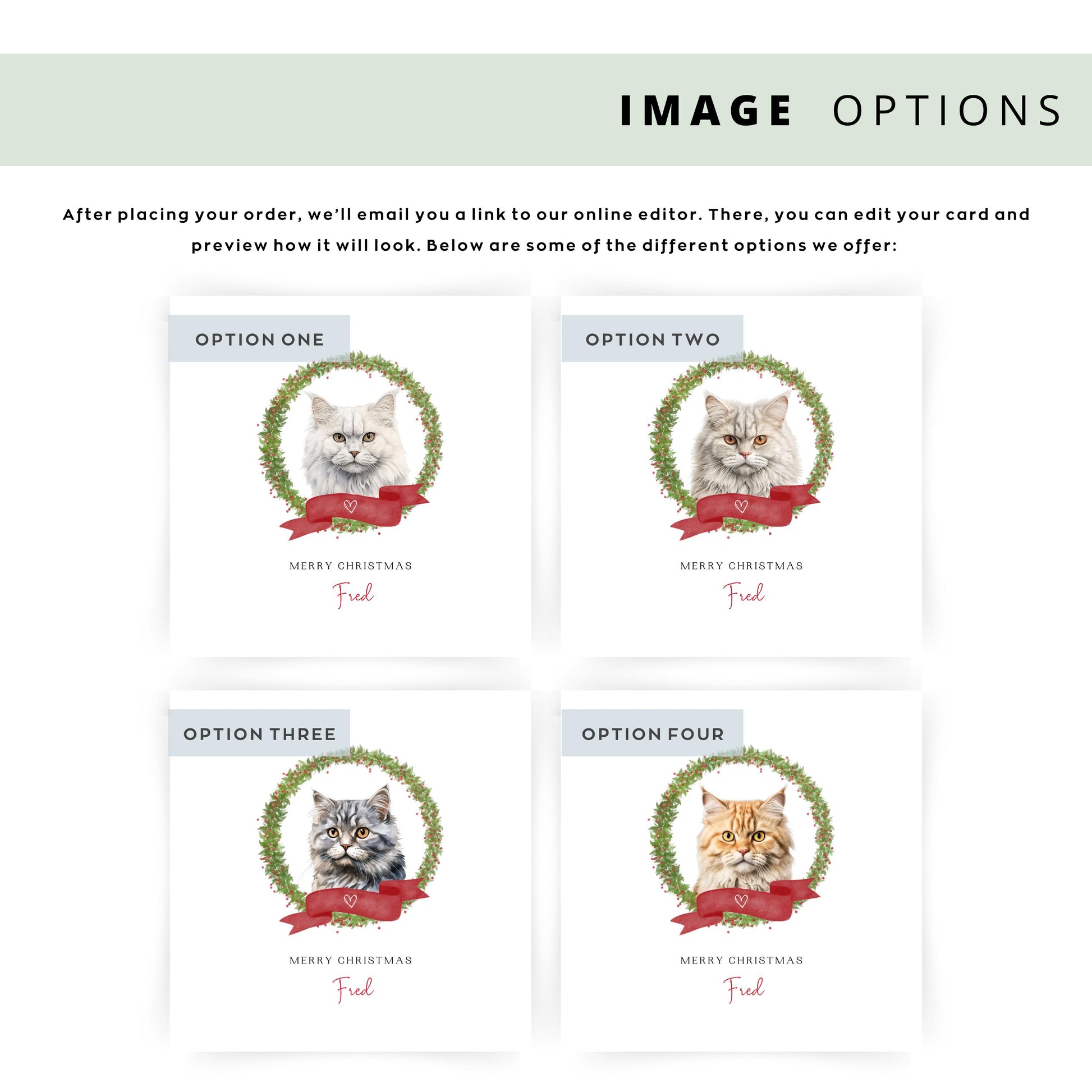 Personalised Selkirk Rex cat Christmas card with festive wreath design. Ideal holiday card for Cat Mum, Cat Dad, or a cat sitter.