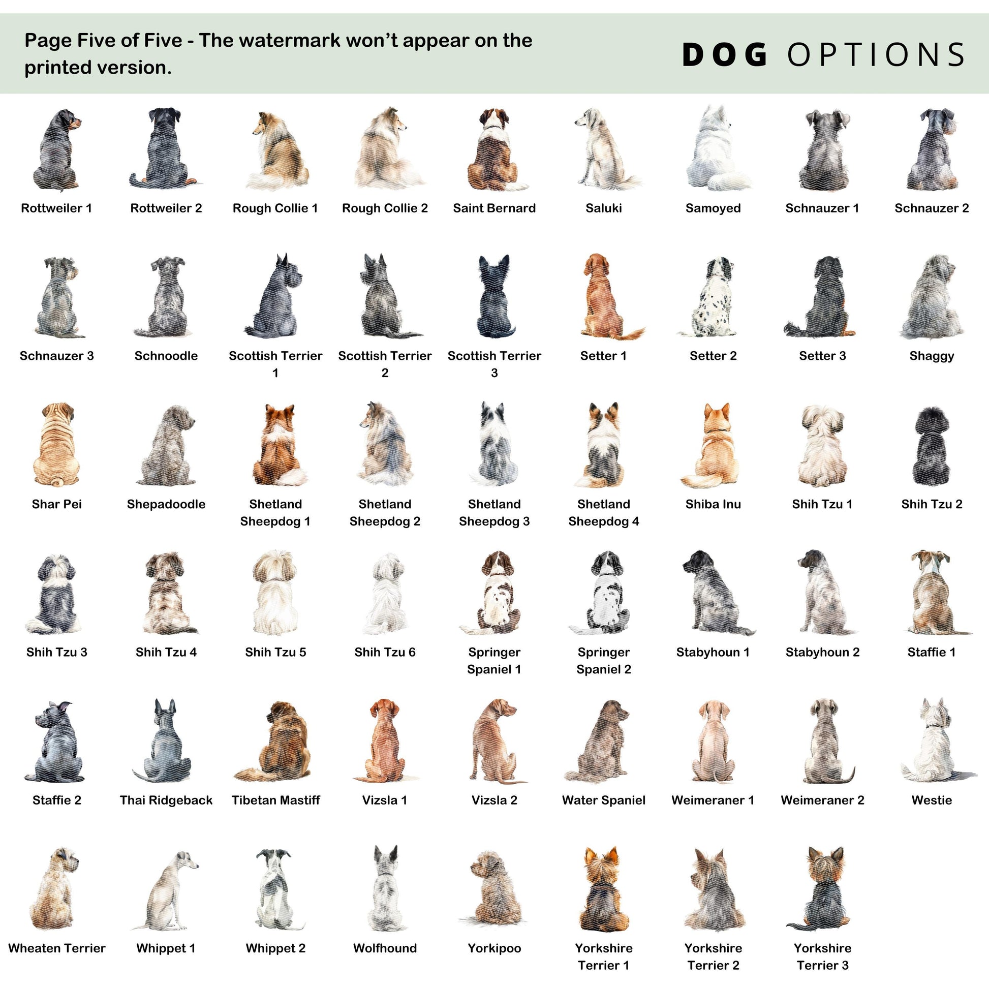 Personalised dog memorial print showing a dog looking out of an open window at the moon and stars with the quote “The brightest star in the night sky” and the pet’s name beneath.